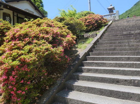 379八幡神社-屋島神社17.JPG
